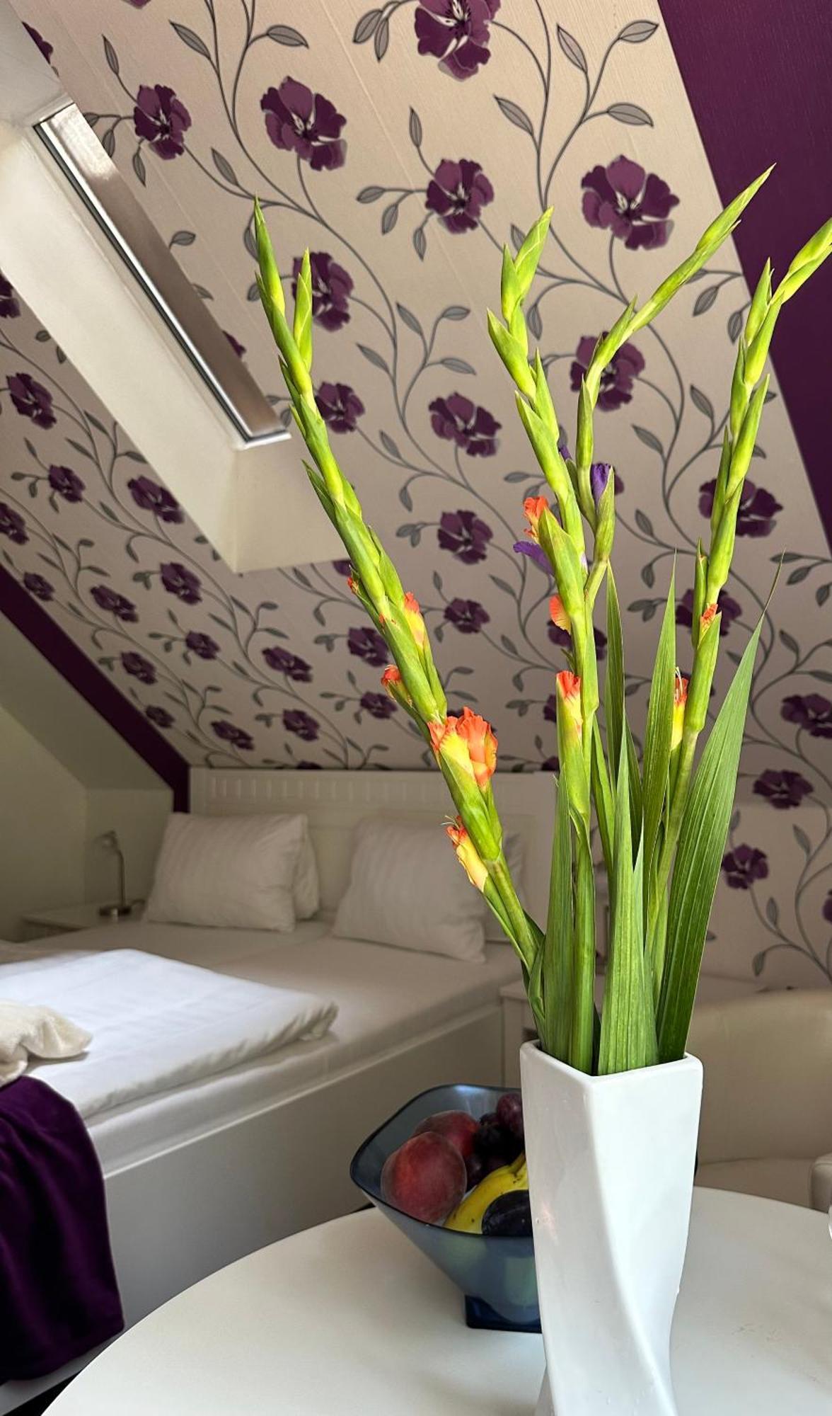 Wellness Penzion Harmonie Rohanov Prachatice Exterior photo